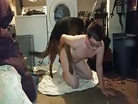 Nerdy gay got fucked hard in dog anal sex