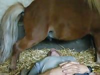 Nasty dude waiting for horse orgasm with his mouth
