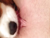 Furry dog eating the pussy of a hot petite teen