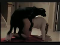 Sexy big ass blonde babe enjoying dog dick in her pussy