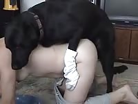 Zoofilia lover girl takes in a big dog dick from behind