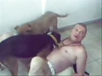 Bald gay beastiality lover having dog anal sex