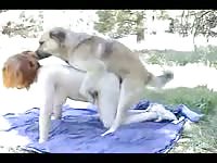 Dog fucking the tight pussy of slut in public