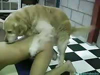 Blonde whore getting fucked and pounded by dog's hard cock