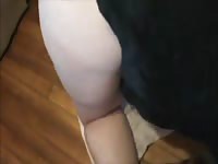 Big ass babe got pussy eaten by dog before sex