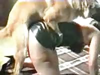 Kinky chick got fucked by dog after dog oral sex