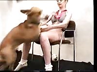 Two naughty blondes sharing a huge dog cock