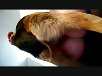 Hot chick got dog on top of her pussy and got smashed