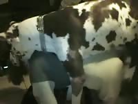 Dog banging and pounding a petite beastie gal
