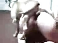 Dog fucking the big ass of beastie gal