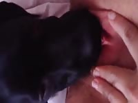 Slut enjoying dog oral sex while touching her pussy
