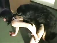 People having sex with animals compilation video