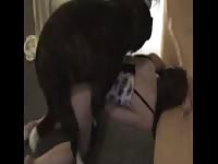 Kinky lady surrendering her pussy to get fucked by dog