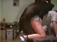 Amateur babe having dog sex in pet porn