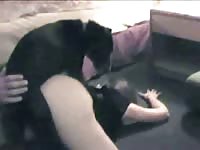 Dog hard fucking a teen from behind in animal xxx