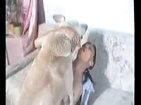 Animal sex video of skinny bitch having dog sex