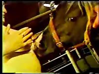 Nasty bitch showering herself with horse orgasm