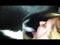 Naughty blonde giving blowjob to dog dick