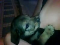 Amateur beastie gal letting dog milk on her titties