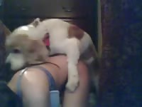 Cute little dog fucking a beautiful teen's pussy