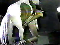 Horse wrecking a whore's pussy in zoofilia xxx