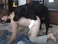 Black dog banging the tight pussy of petite babe