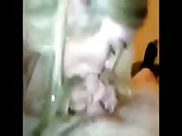 Sexy blonde sucking and pleasuring a huge cock