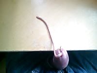 Nasty and kinky dude with worms in his dick