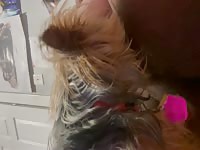 Quality time with my doggy