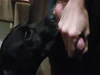 Teaching hyper bitch to love cock (love bite at the end)