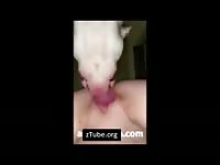 DOG FUCKERS