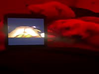 Teen watches beastiality while her dog licks her