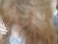 Airedale knotting his Mistress 