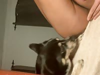 Puppy dog rims hairy asshole CUMpilation 1 