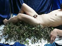 Osvid69 from Asia tortures his own body with holly leaves.