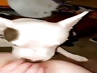 Add me up for stuffs