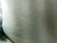 A pill bug wandering on top of the penis