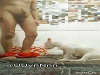 Short king night lick