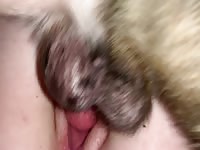 Big dog dick pounding tiny pussy 