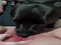 Let’s get wild and nasty 