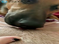 Horny Girl Getting Licked