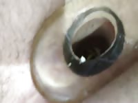 23xl MW and nightcrawlers