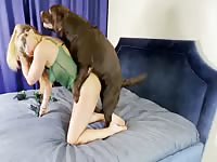 Two Dogs Elegantly digging horny slut