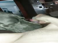 Hi, I'm new to the site. I create zoo content. 