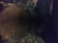 My dog gives a nice lickjob 