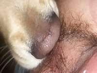 He loves hairy ass 