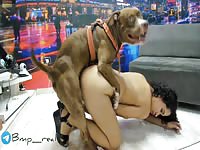 Puta Vet - Benji Production