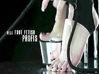 your mistress feet