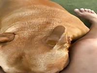 Sisters share one dog one dildo 