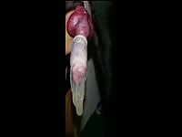 Master's dirty bitch Armands Lusis taste dog cum first time